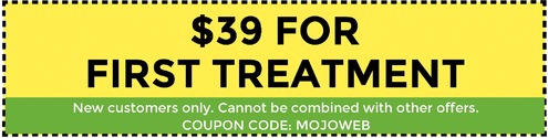 Green and yellow coupon highlighting $39 for first treatment