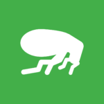 White flea icon on green background